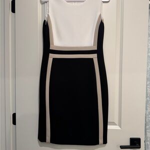 Calvin Klein Black and White Mini Dress